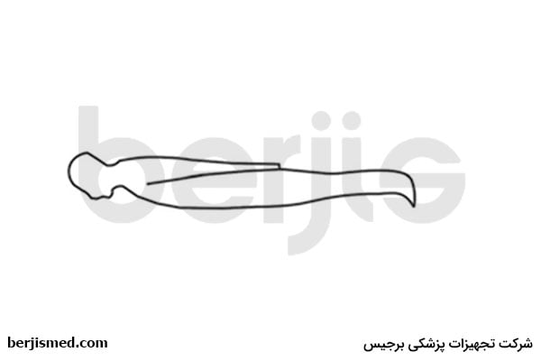 ورزش شماره 10 برای درمان دیسک کمر