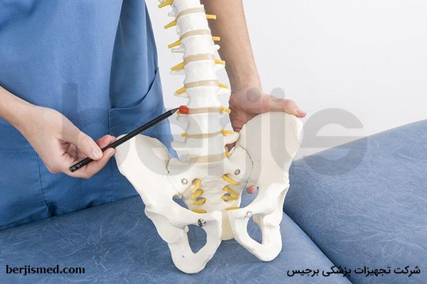 آشنایی با آناتومی دیسک کمر