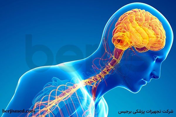 انواع ام اس