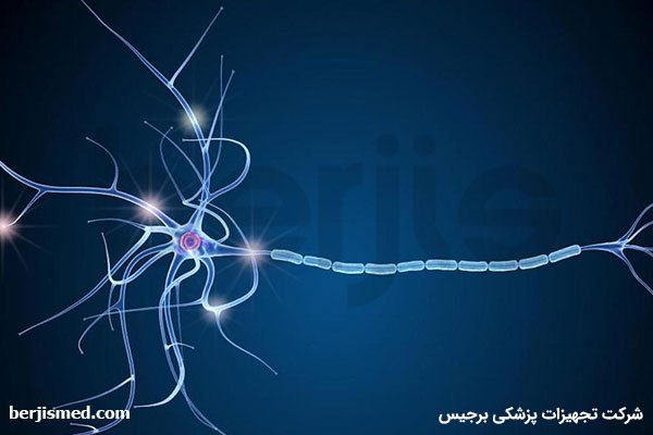 درمان ام اس، تأثیر تغذیه در ایجاد و پیشرفت بیماری ام اس