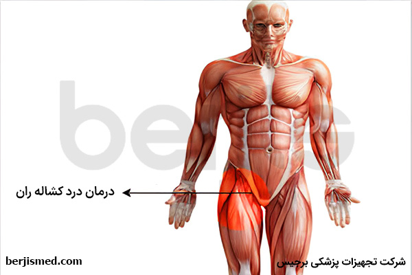 درمان درد کشاله ران و علل بروز این عارضه