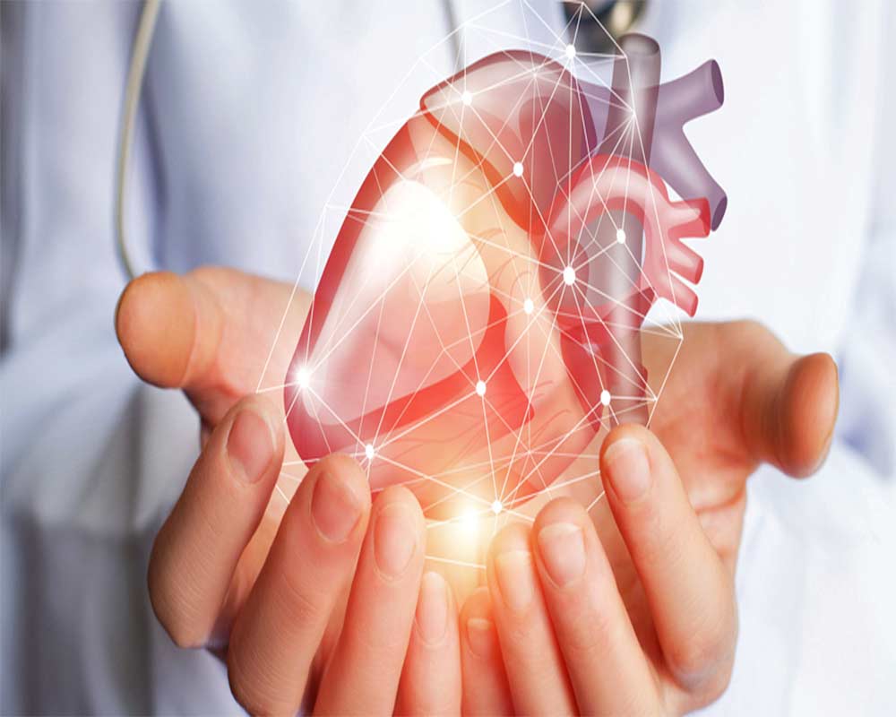 تاثیر فیزیوتراپی بر بیماری قلبی