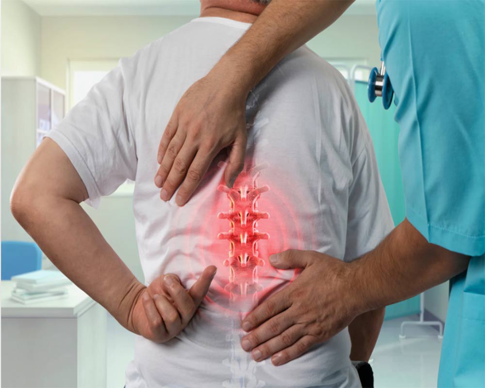 تعریف ضایعه سئو