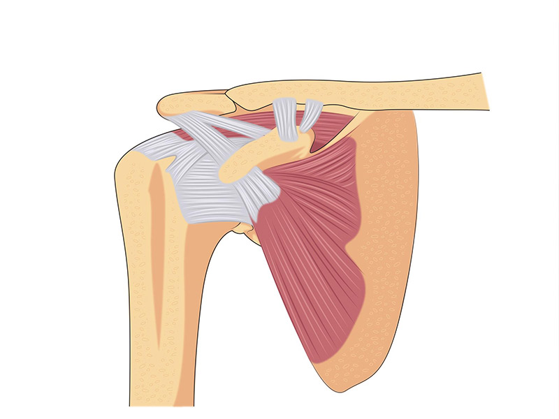 آشنایی کامل با پارگی روتاتور کاف